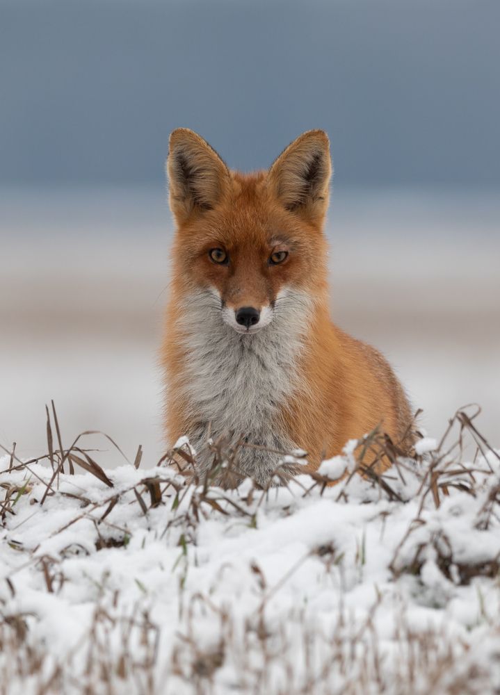 Photograph by Vladimir Pakalevich