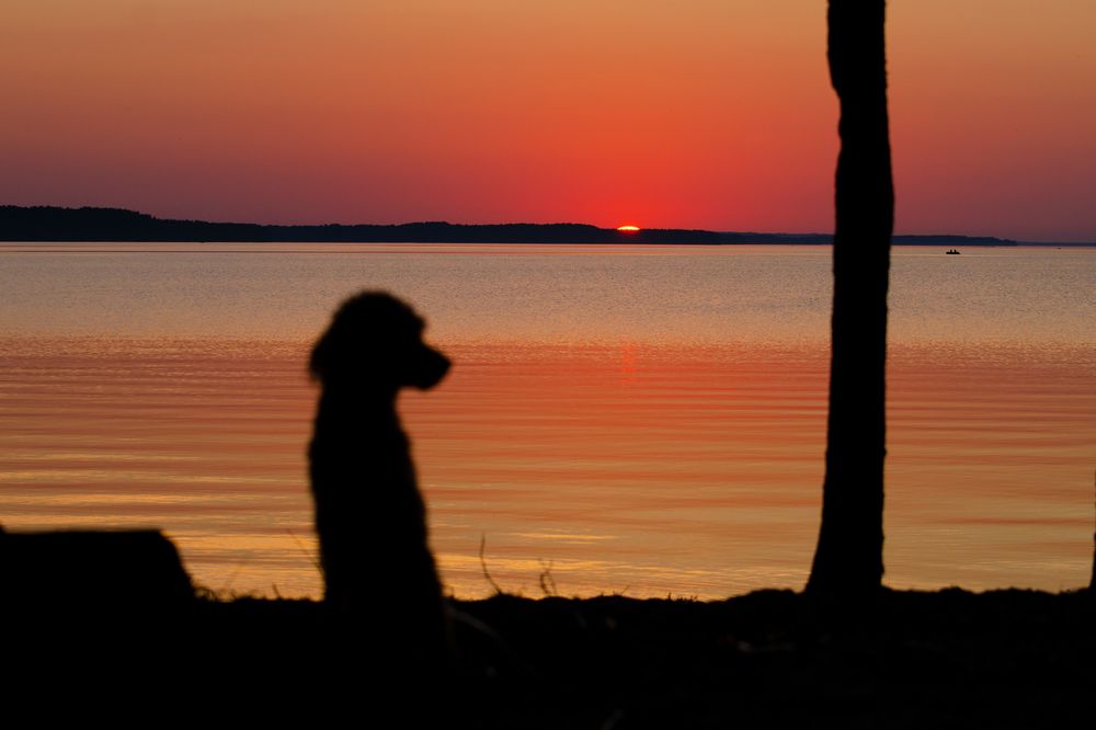 Фотография автора Третьяков Даниил