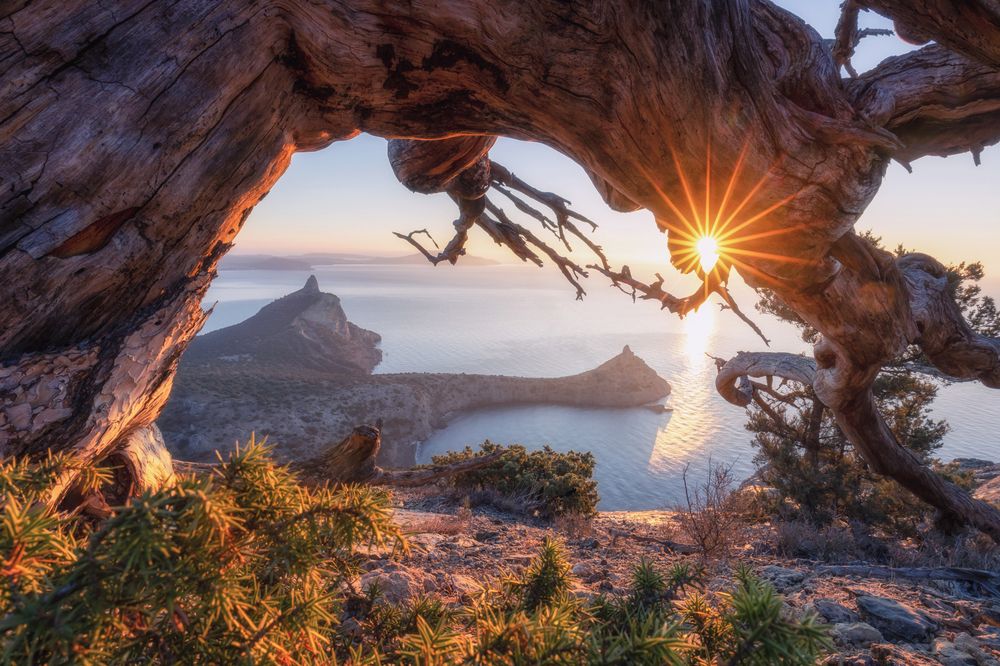 Фотография автора Дмитренко Екатерина