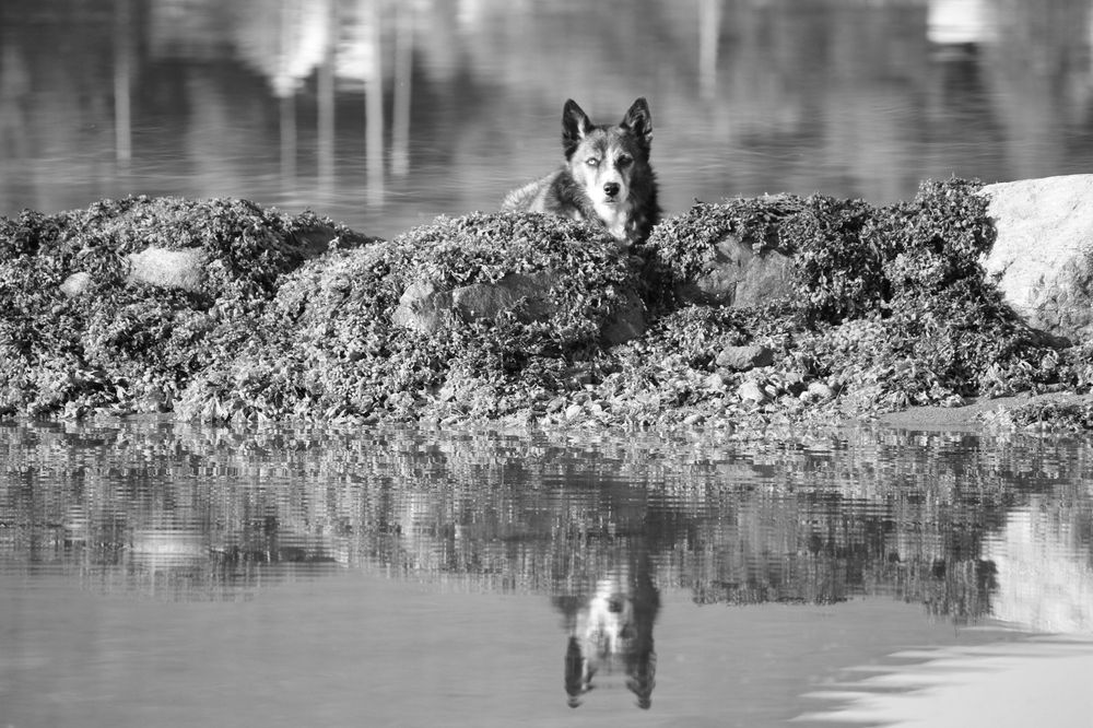 Photograph by Полина Зайцева