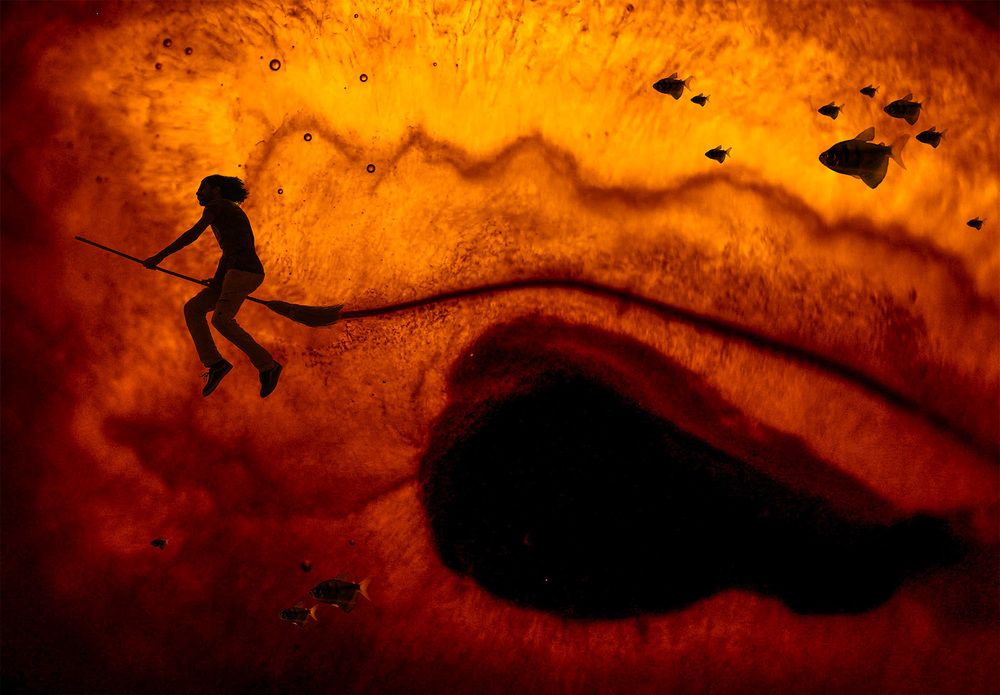 Фотография автора Daniyal Arabzadeh