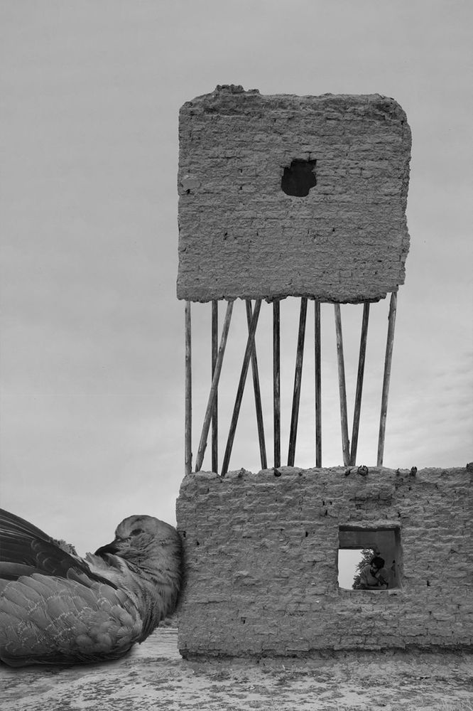 Фотография автора Daniyal Arabzadeh