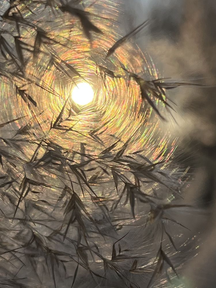 Фотография автора Екатерина Кузнецова