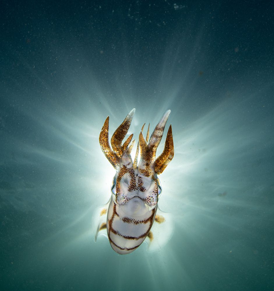 Photograph by Magali Márquez