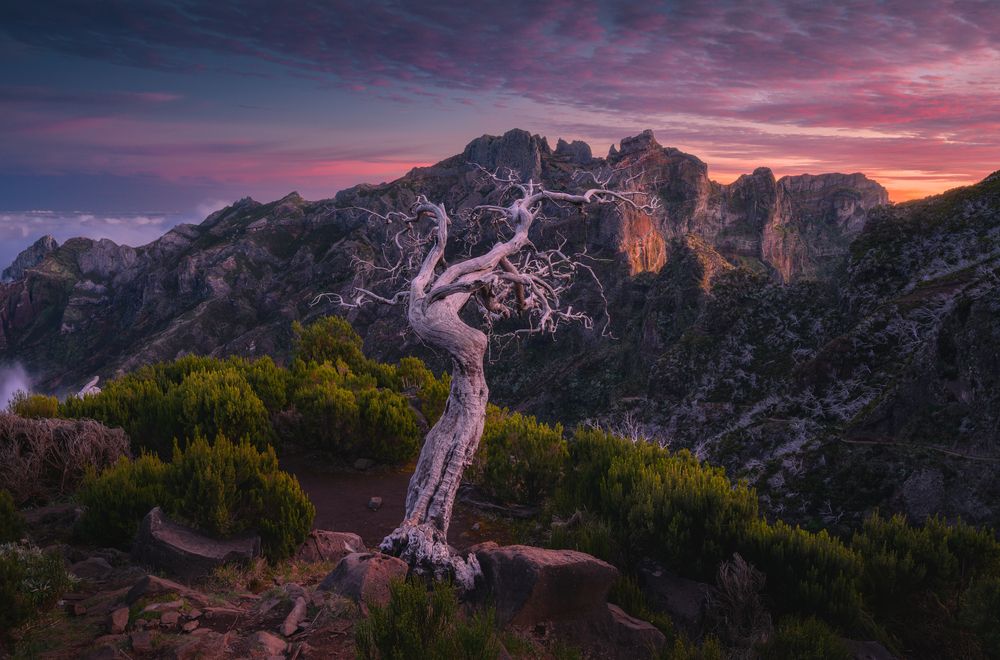 Photograph by Grégoire Pansu