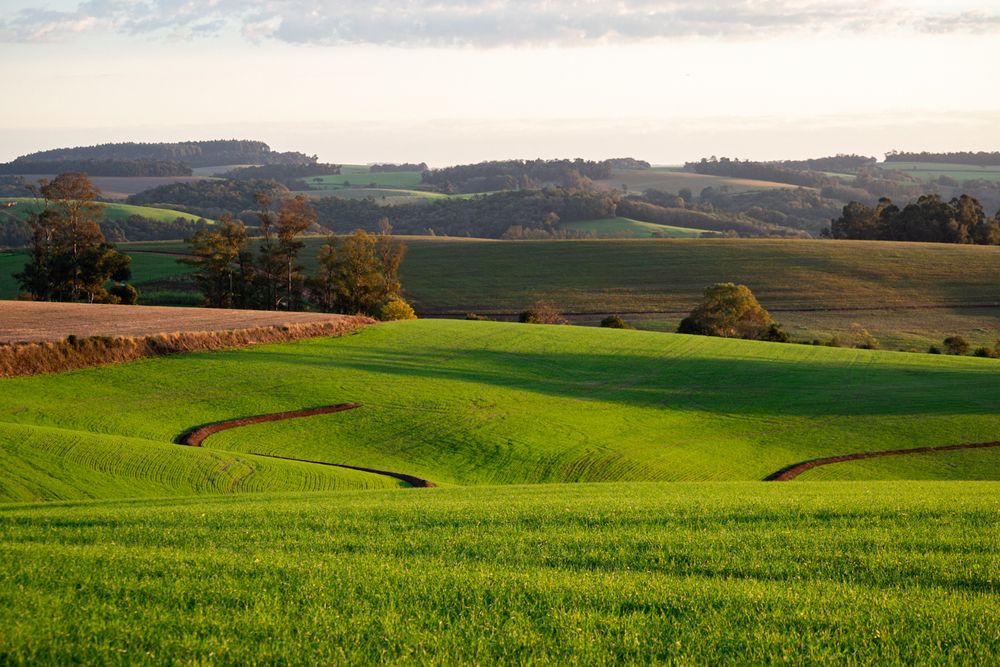 Фотография автора Maichel de Paula