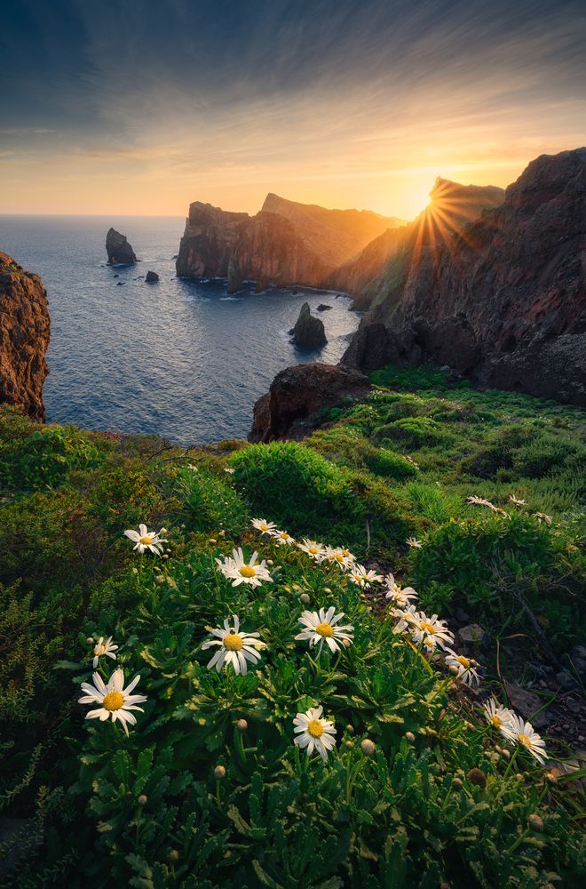 Photograph by Grégoire Pansu