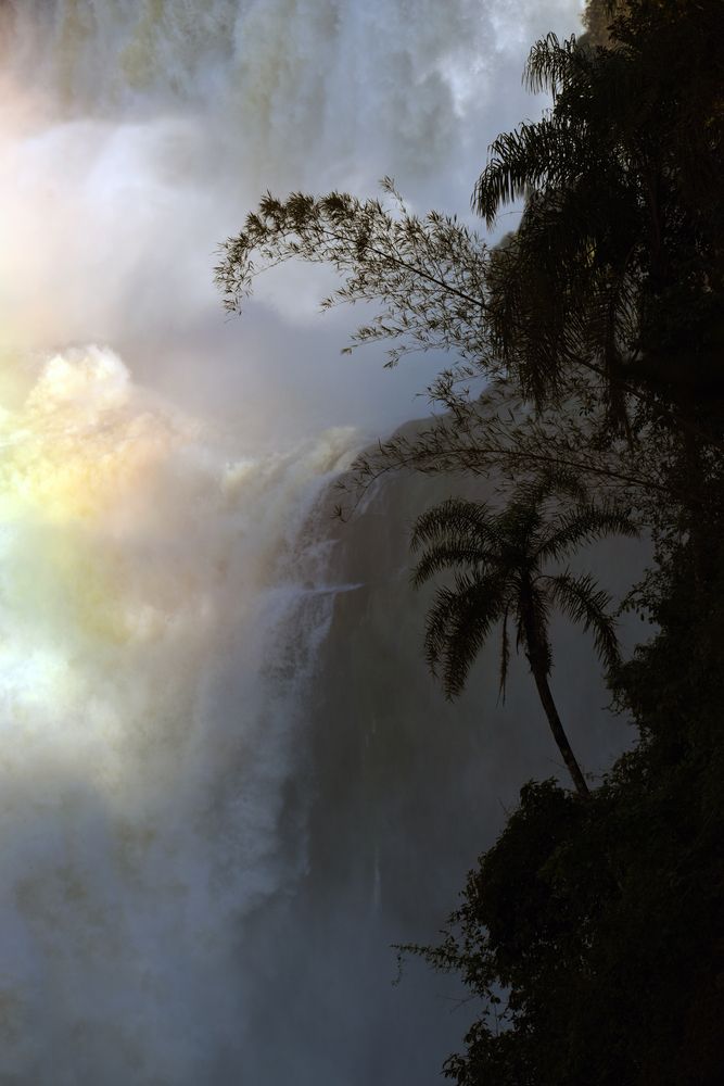 Photograph by SI SABER LOTFI