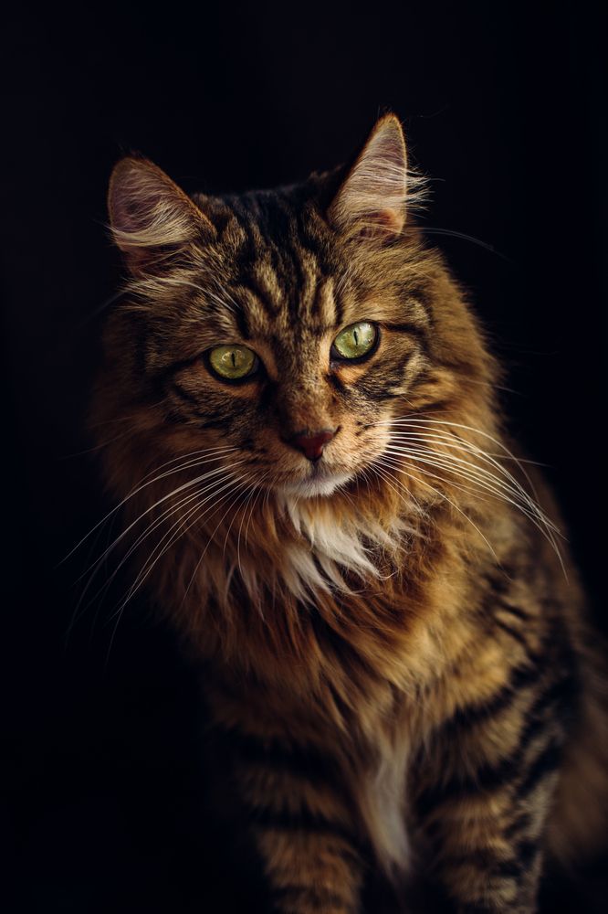 Photograph by Галина Ноздрина