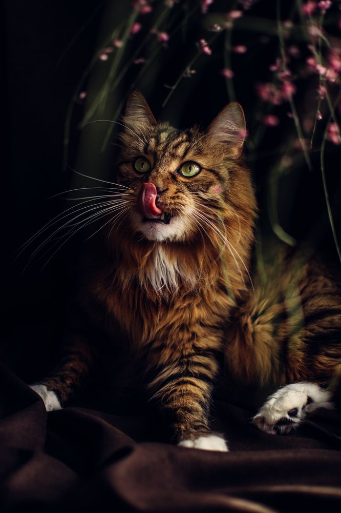 Photograph by Галина Ноздрина