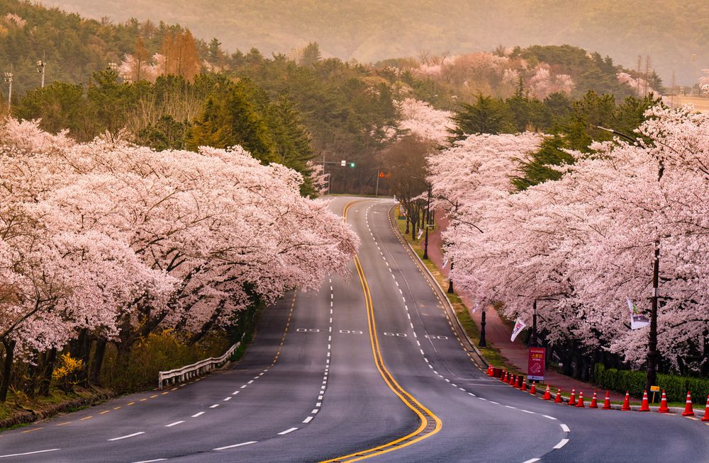 Photograph by THANG NGUYEN QUE