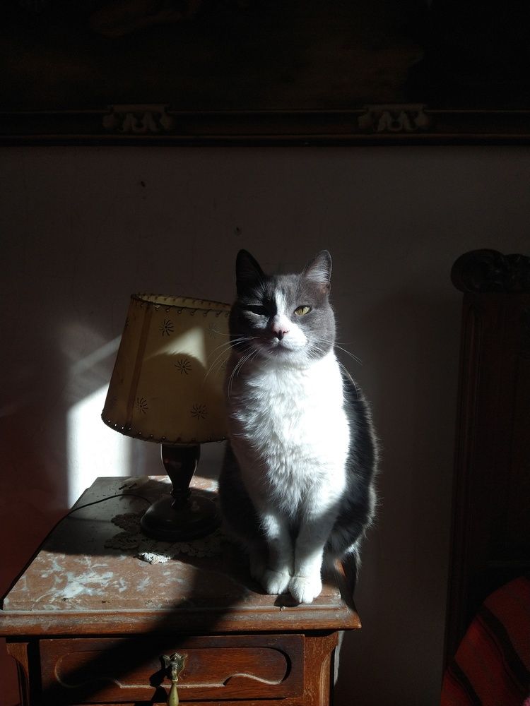 Photo #11981694