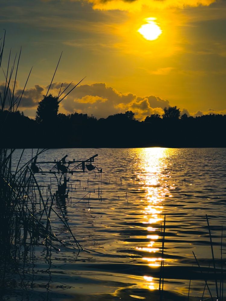 Photograph by Juozas Zalunskis