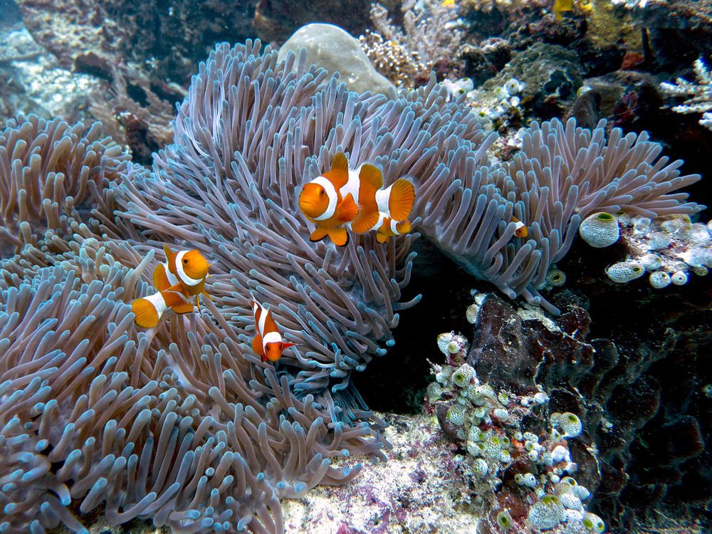 Photograph by worldbeatboy