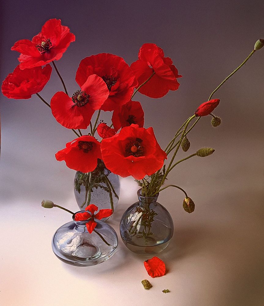 Photograph by Наталья Шумилова