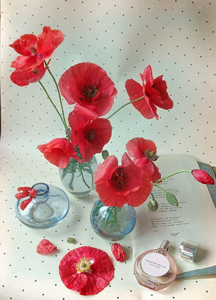 Photograph by Наталья Шумилова