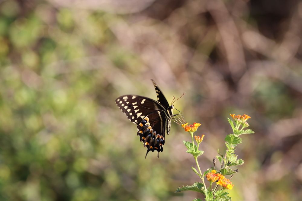 Photograph by Анатолий Костерев