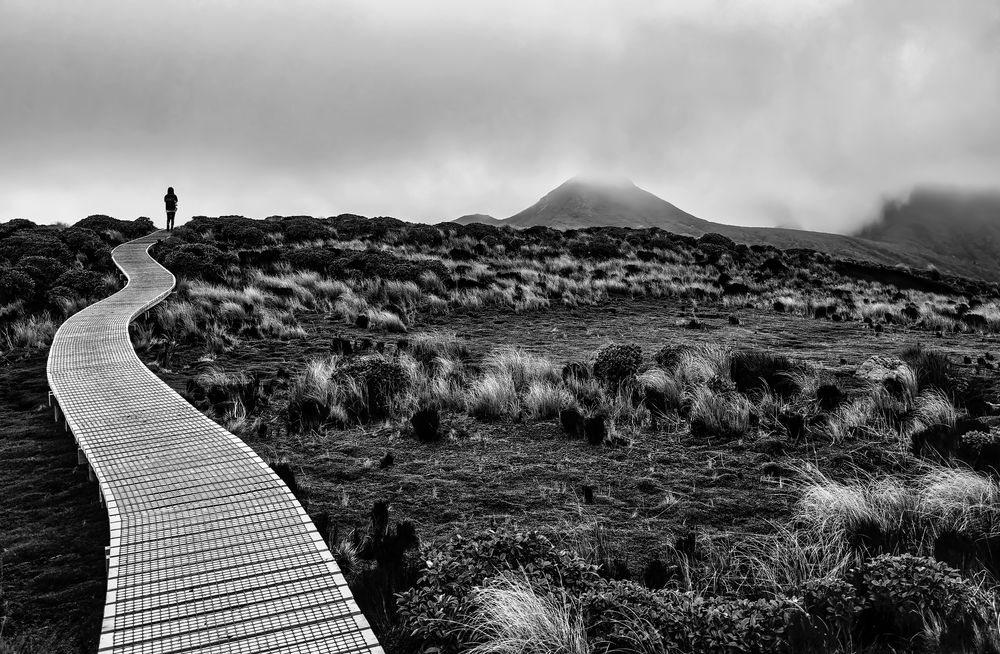 Photograph by Gustavo Silva de Almeida