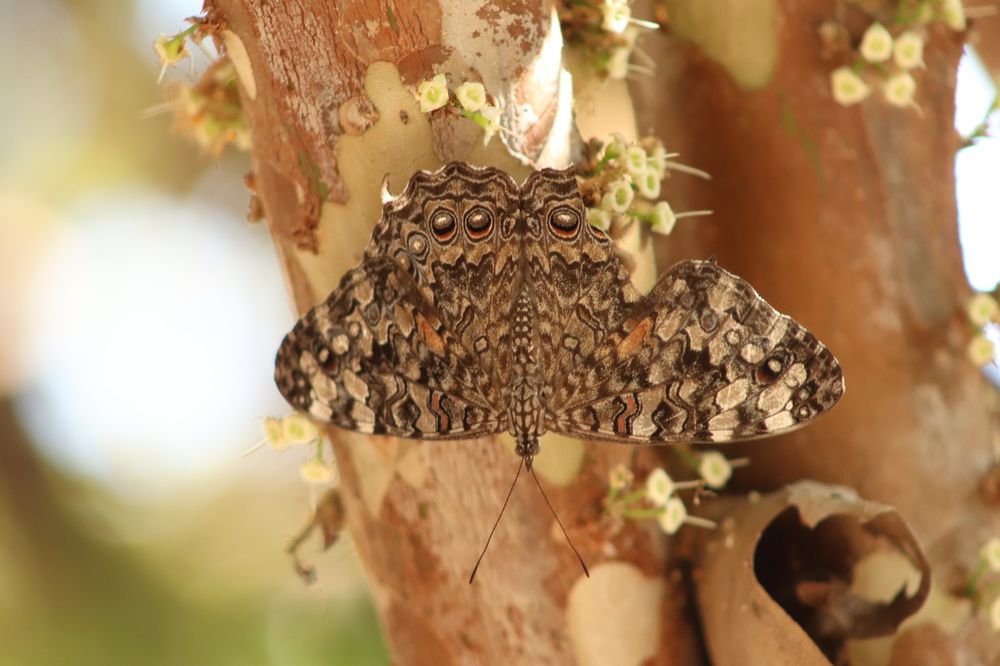 Photograph by Juliana