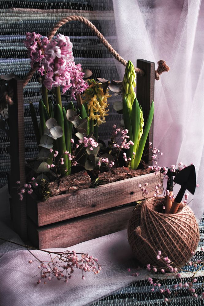 Photograph by Галина Ноздрина