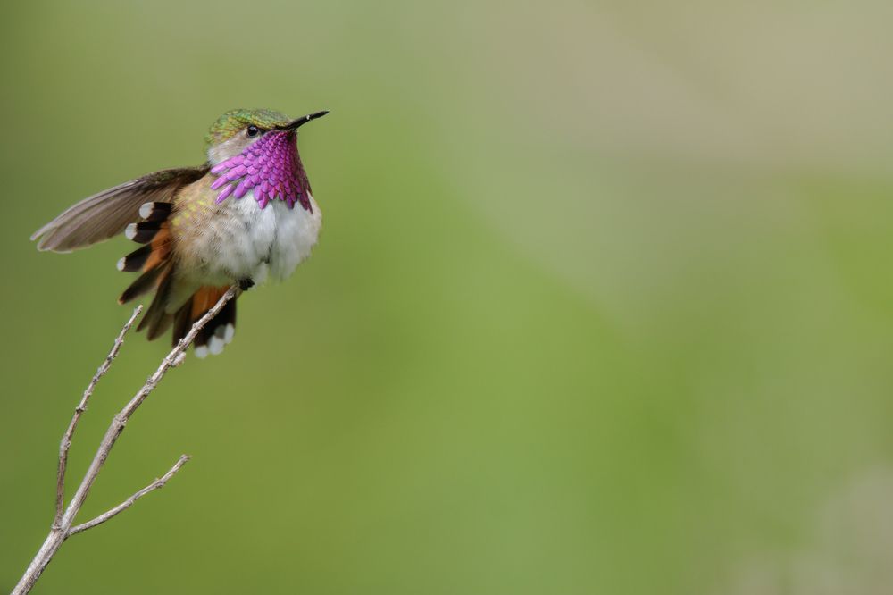 Photograph by Omar Carax