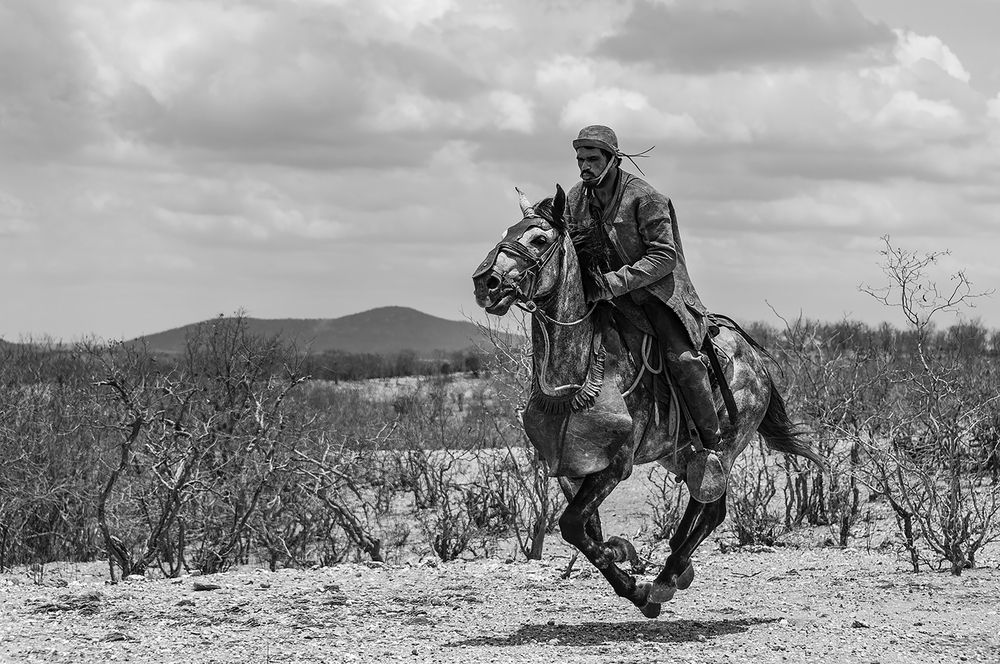 Photograph by Gustavo Silva de Almeida
