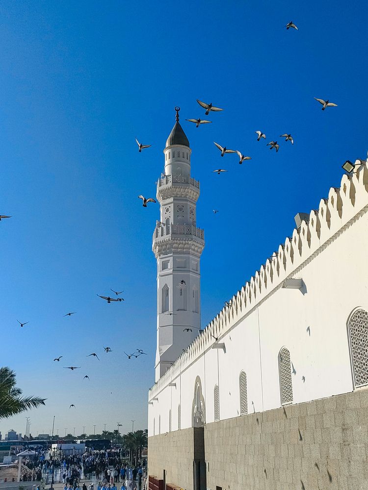 Фотография автора Sara Attia