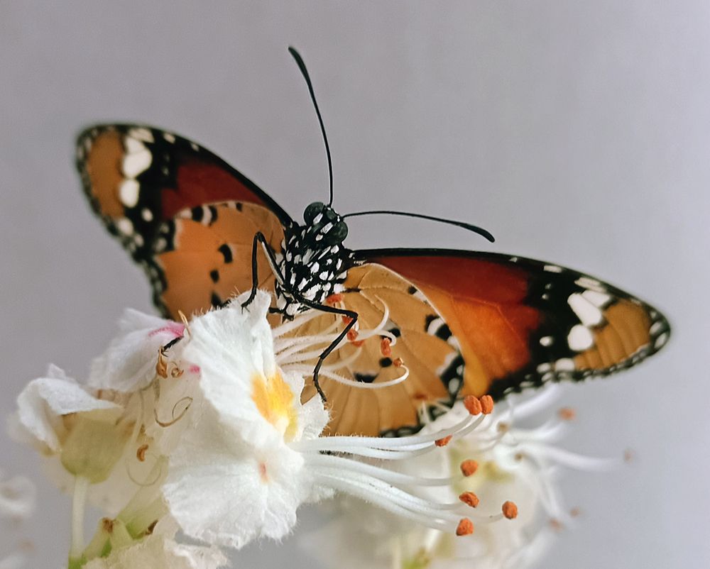 Photograph by Наталья Шумилова