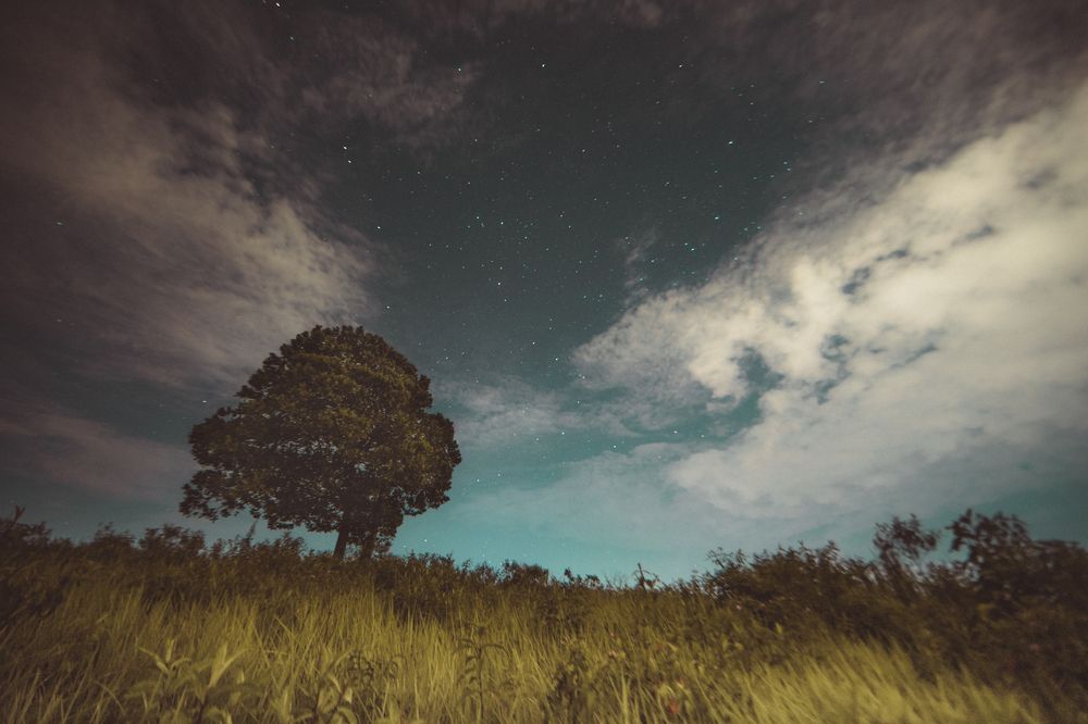 Фотография автора Anil Prabhakar