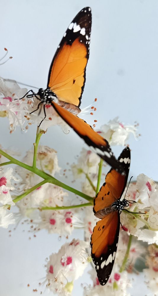 Photograph by Наталья Шумилова