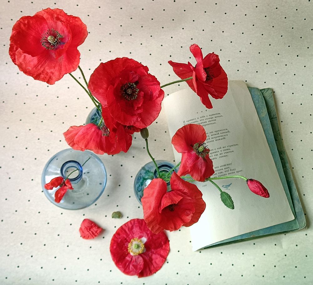 Photograph by Наталья Шумилова