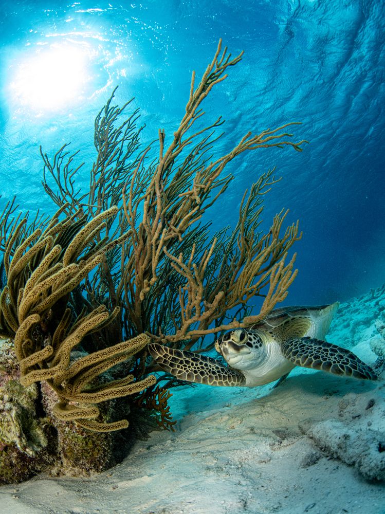 Photograph by Magali Márquez