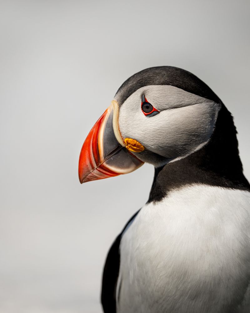 Photograph by TELAN NIRANGA