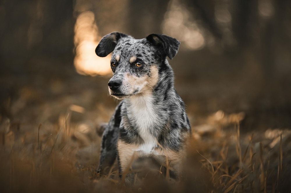 Photograph by leticia pascual garcia