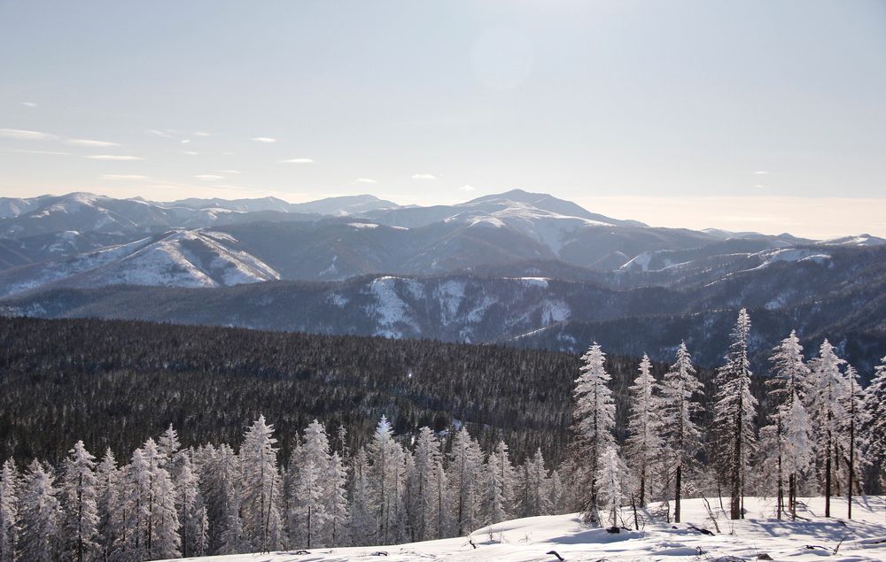 Фотография автора Наталия Мащенко
