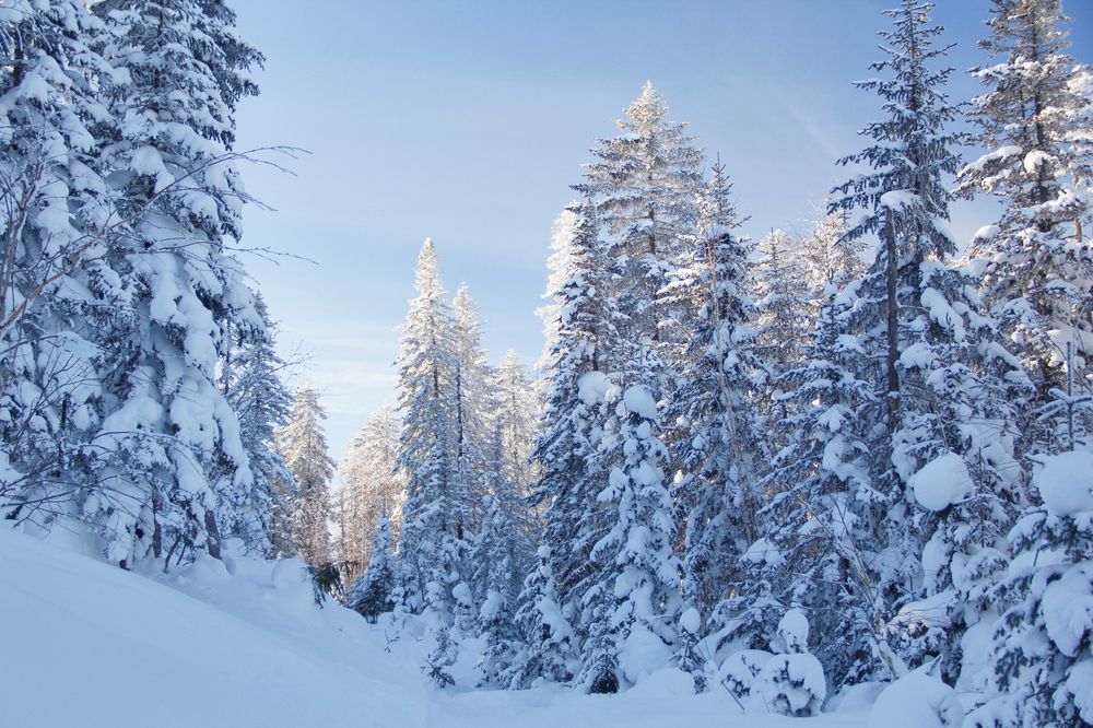 Фотография автора Наталия Мащенко