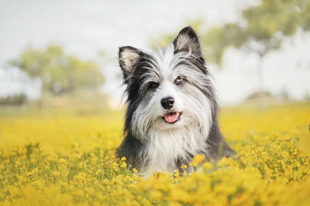 Photograph by leticia pascual garcia