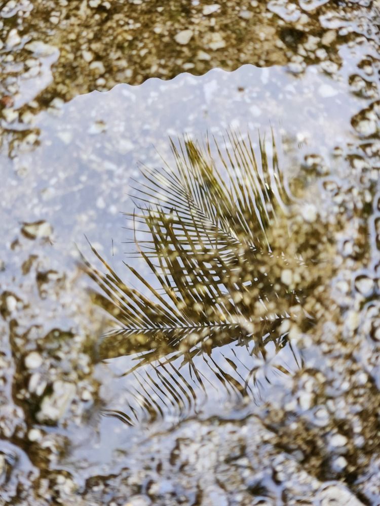 Photograph by Juliana