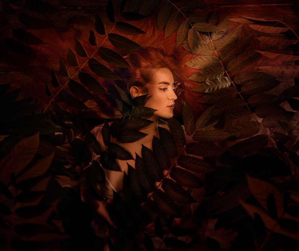 Photograph by Pavlo Koche