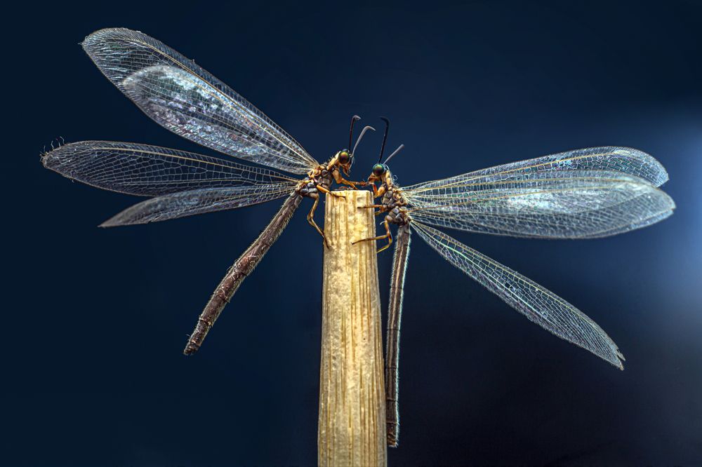 Photograph by ChonTin NeCoTi