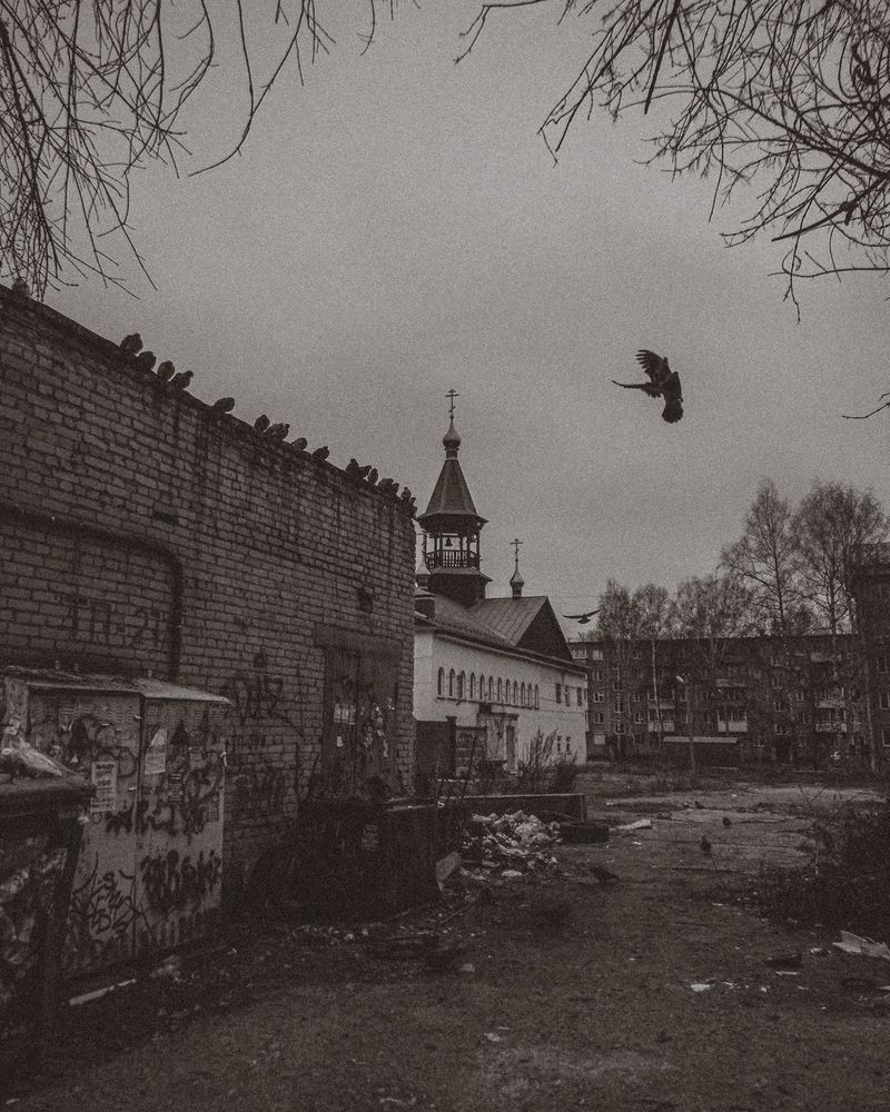 Photograph by Дмитрий Матвеев