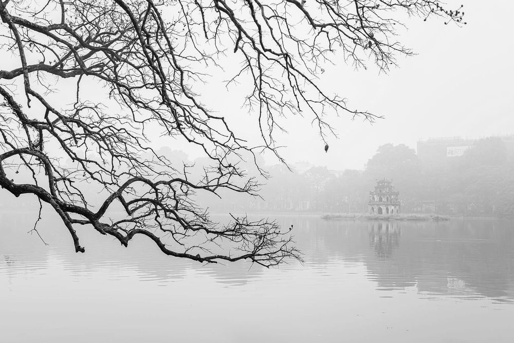 Photograph by CHU HUU LAC