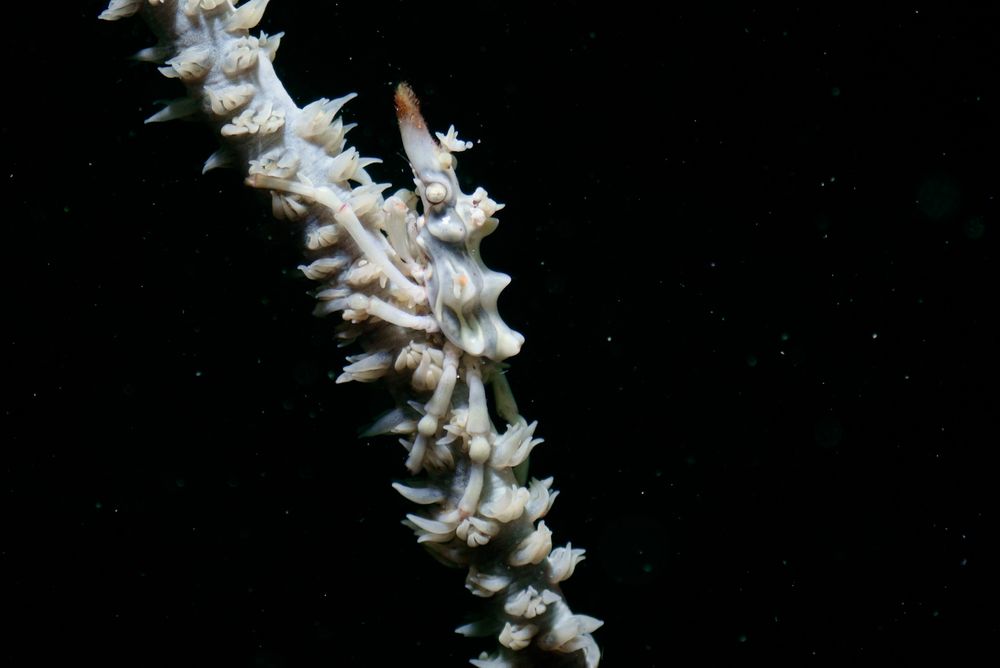 Photograph by Andy O Nales Flores