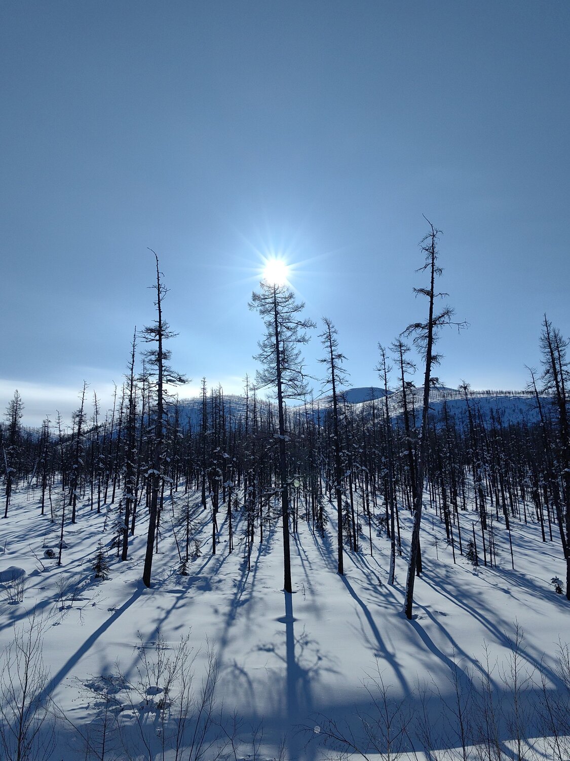 Photo #11982238