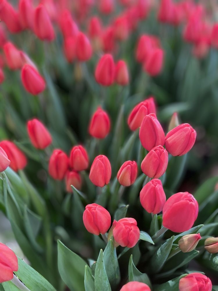 Photograph by Евгения Булавко