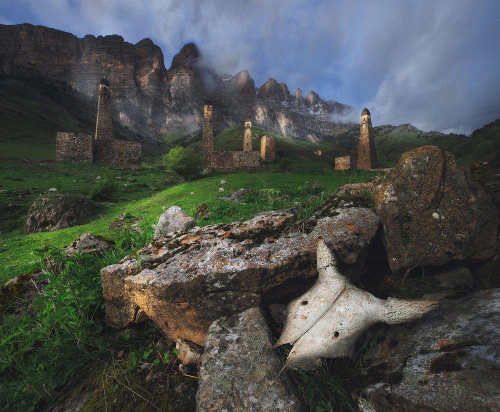 Photograph by Natalia Zakharova