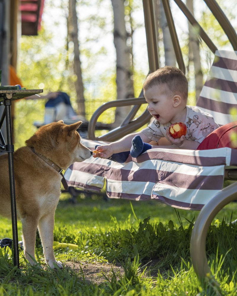 Photograph by Goiiiguk Vladimir