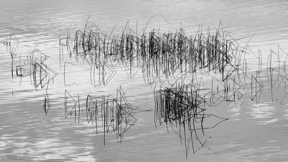 Фотография автора SEYED REZA Kalali Sjavand