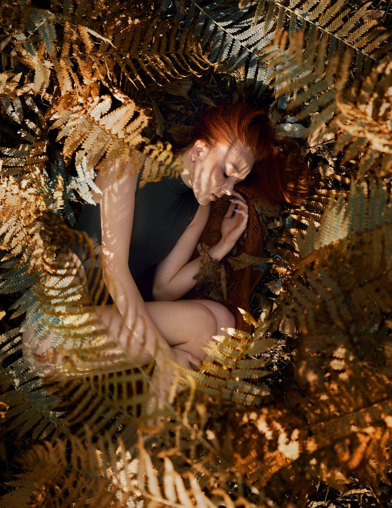 Фотография автора Ефимов Станислав