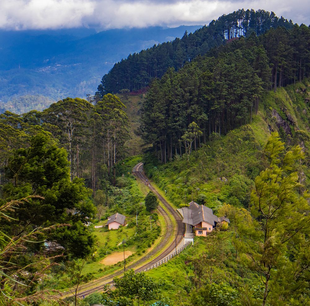 Photograph by Ashen Gunawardena